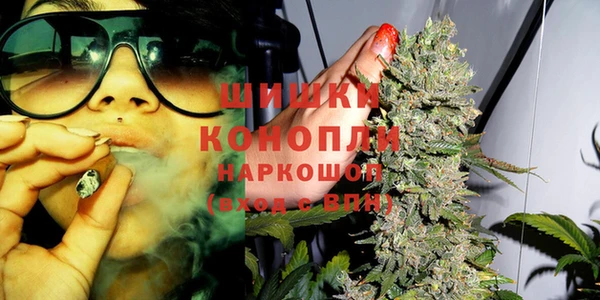 прущие грибы Армянск