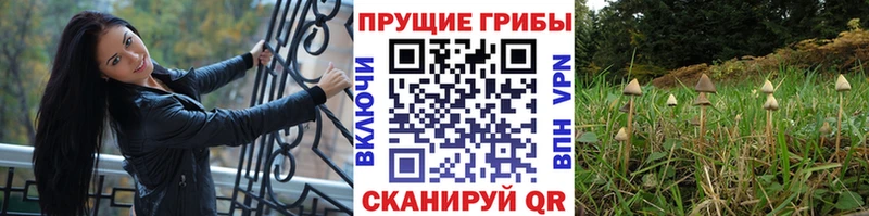 Галлюциногенные грибы мухоморы  Ельня 