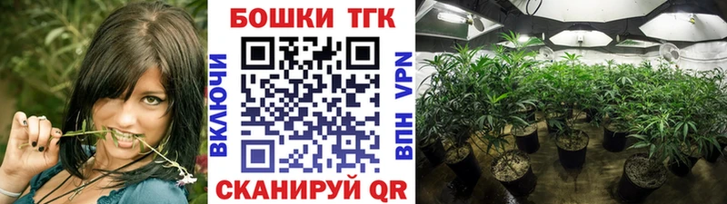 Бошки марихуана White Widow  где можно купить наркотик  мега ТОР  Ельня 